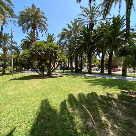 דירות אליקאנטה Tropical Loft מראה חיצוני תמונה