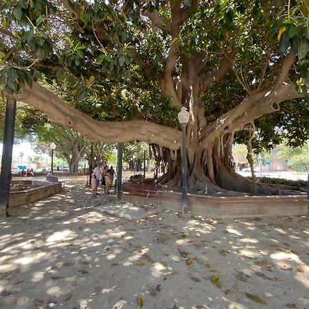דירות אליקאנטה Tropical Loft מראה חיצוני תמונה