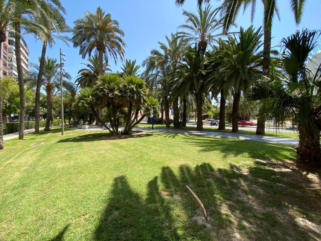 דירות אליקאנטה Tropical Loft מראה חיצוני תמונה